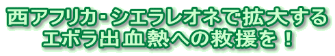 西アフリカ・シエラレオネで拡大する エボラ出血熱への救援を！ 